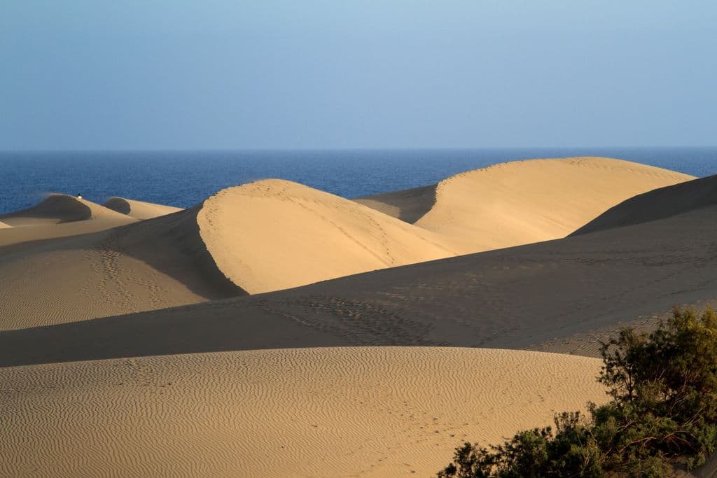 Canary Islands