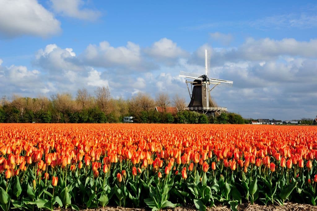 North Holland