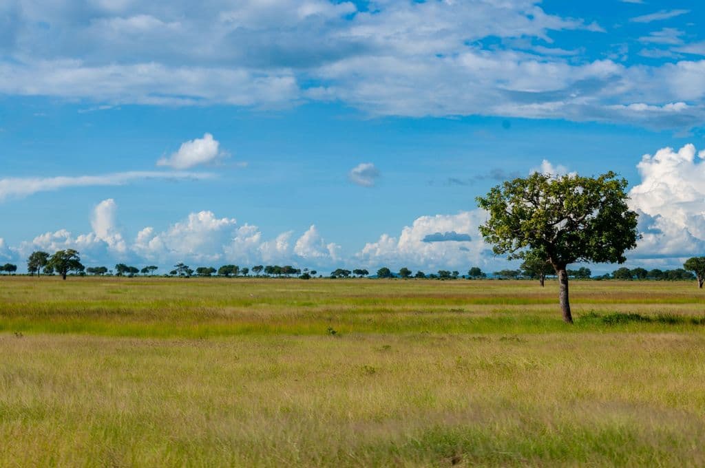 Morogoro