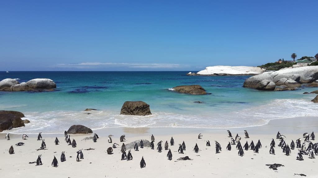 Western Cape