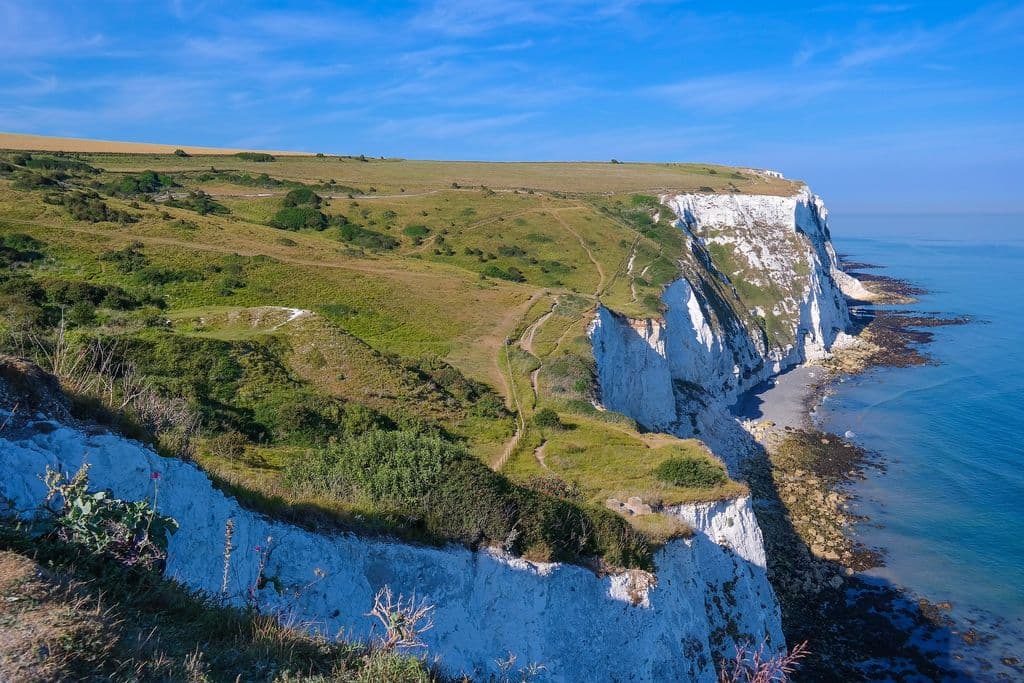 Dover