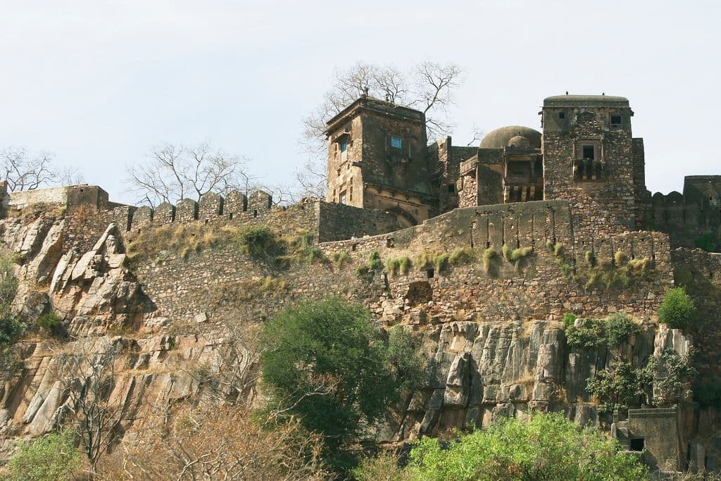 Ranthambore