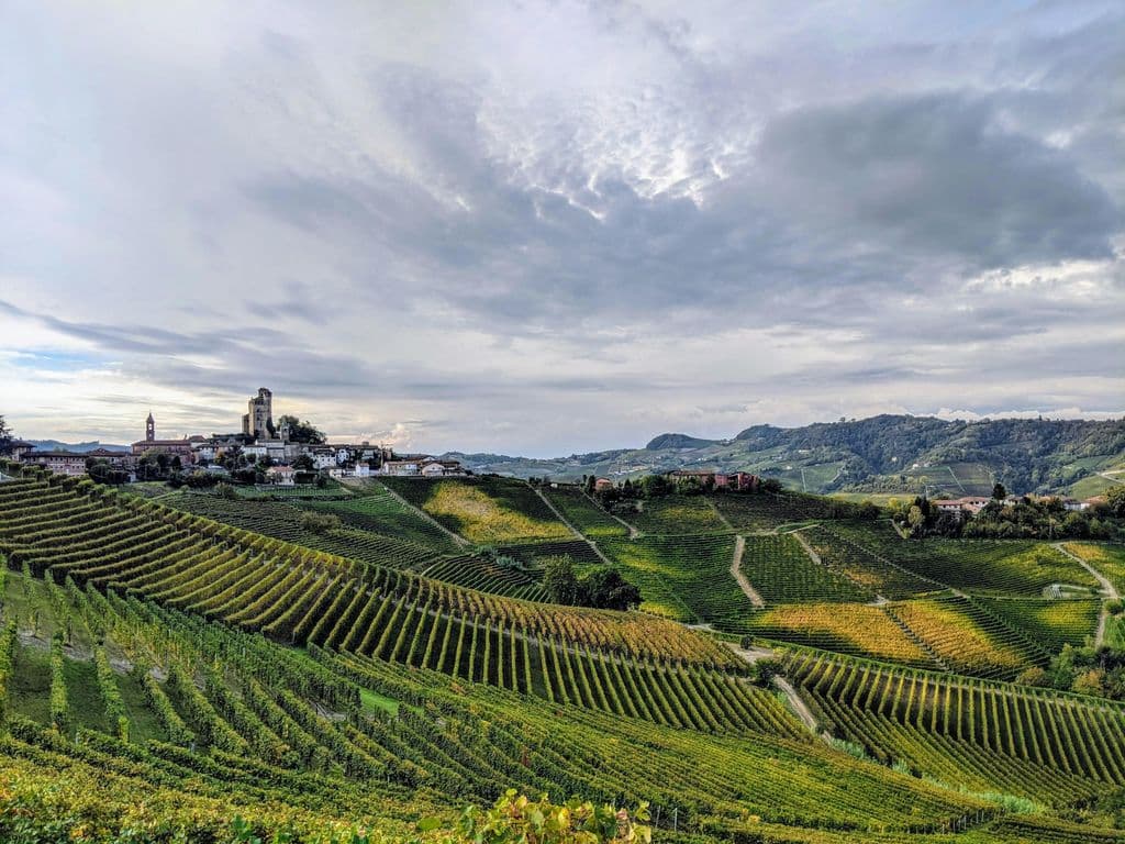 Barolo