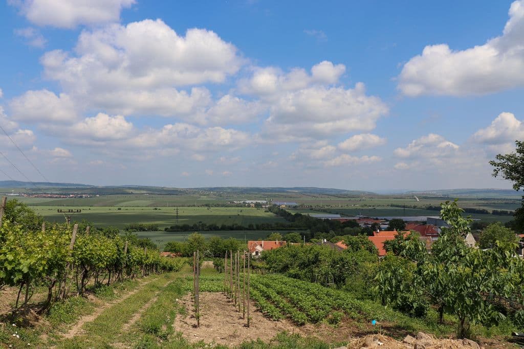 Jihomoravsky Kraj
