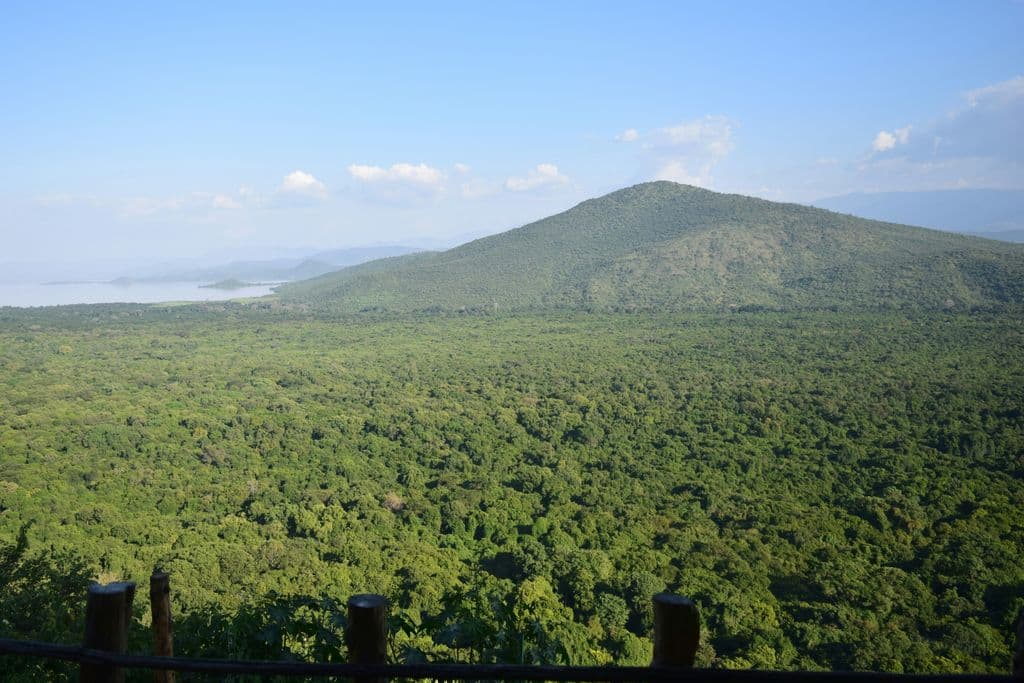 Arba Minch