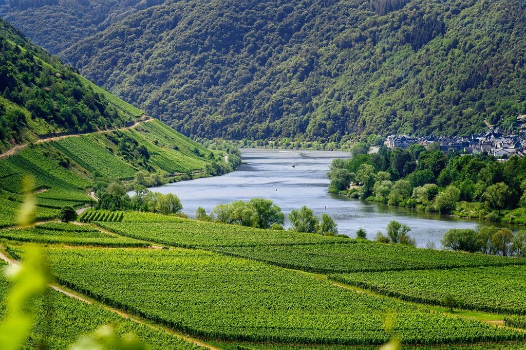 Moselle Valley
