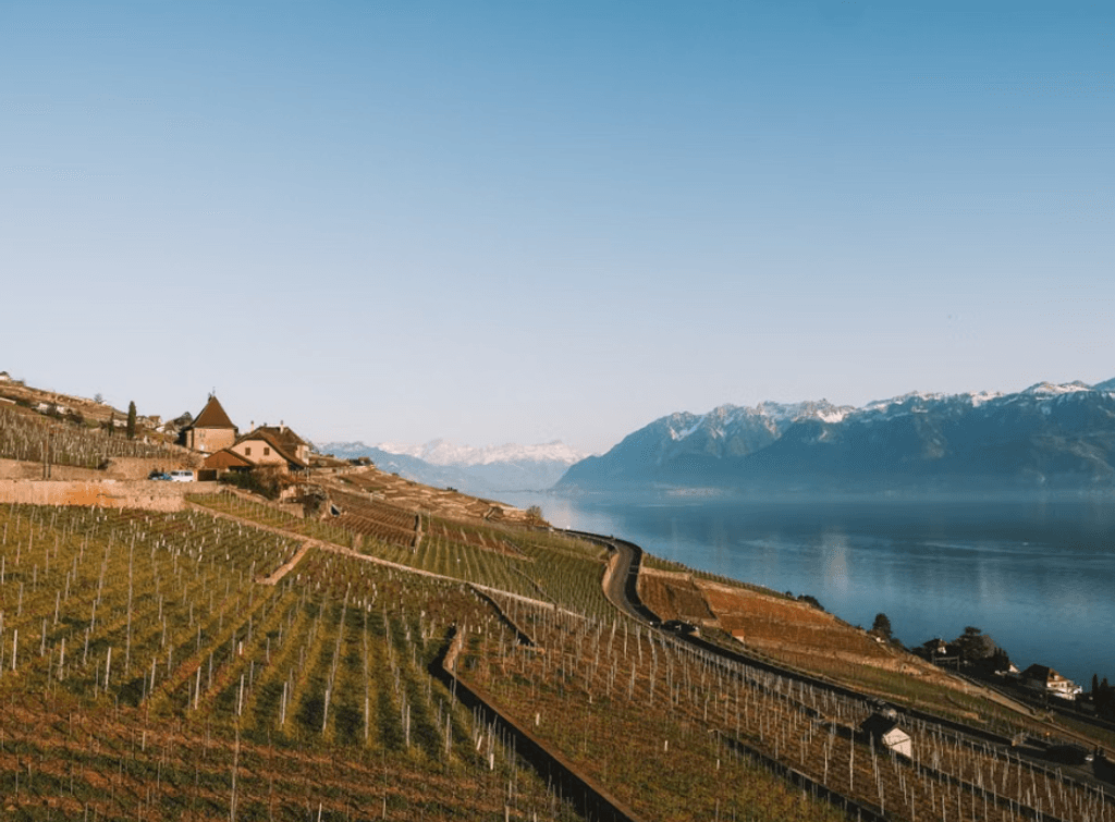 Vaud