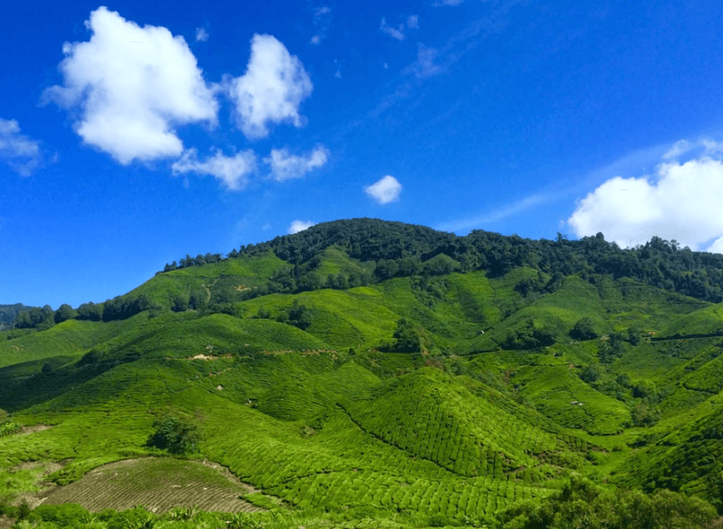 Pahang