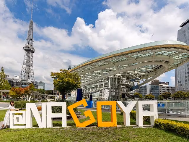 Nagoya Private Tour - 