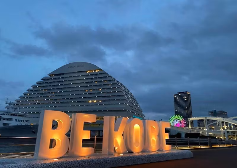 Hyogo Private Tour - 