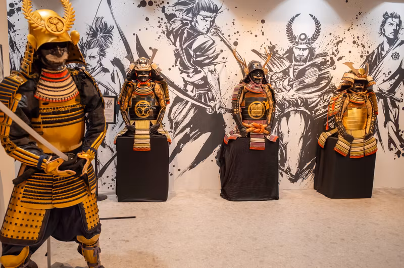 Tokyo Private Tour - Samurai Ninja museum recommended!