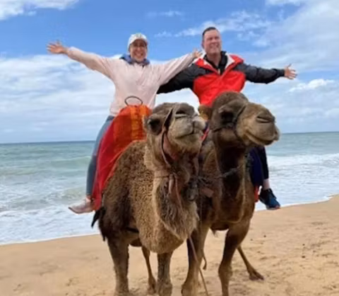 Tangier Private Day Tour & Shore Excursion: Explore History, Culture & Camel Ridingcover image