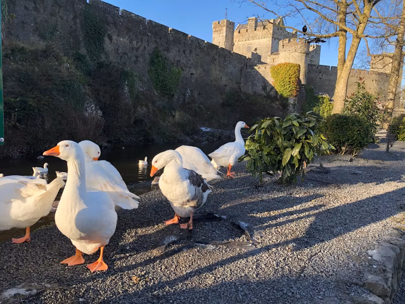 Dublin Private Tour - Cahir Castle - Tipperary