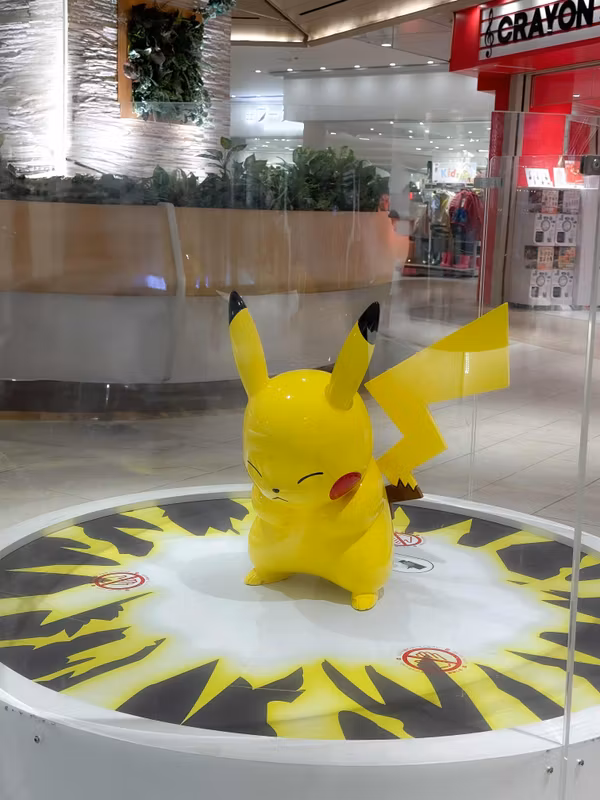 Tokyo Private Tour - Pokemon Center