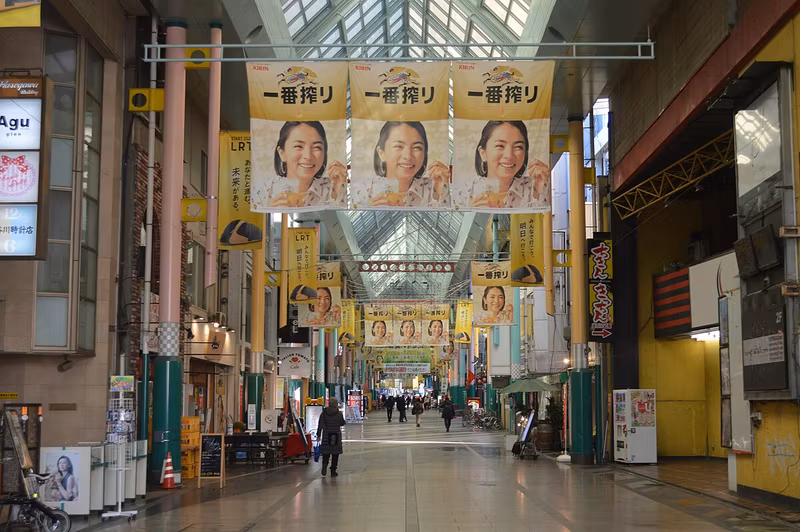 Tochigi Private Tour - 