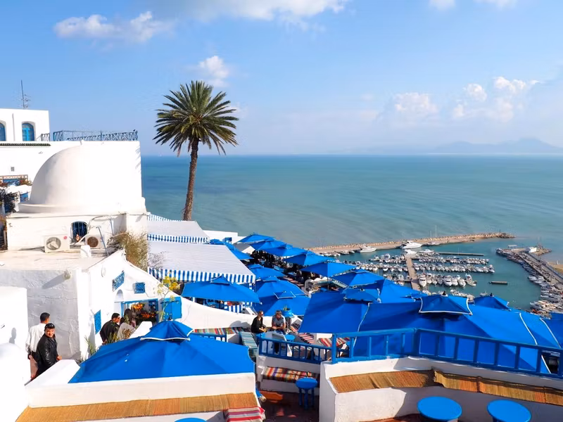 Tunis Private Tour - 