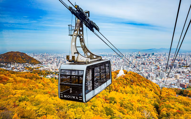 Sapporo Private Tour - Mt. Moiwa Ropeway
