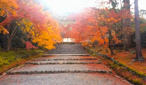 Western Kyoto: A Hike around Historical Sites in Court Literature.