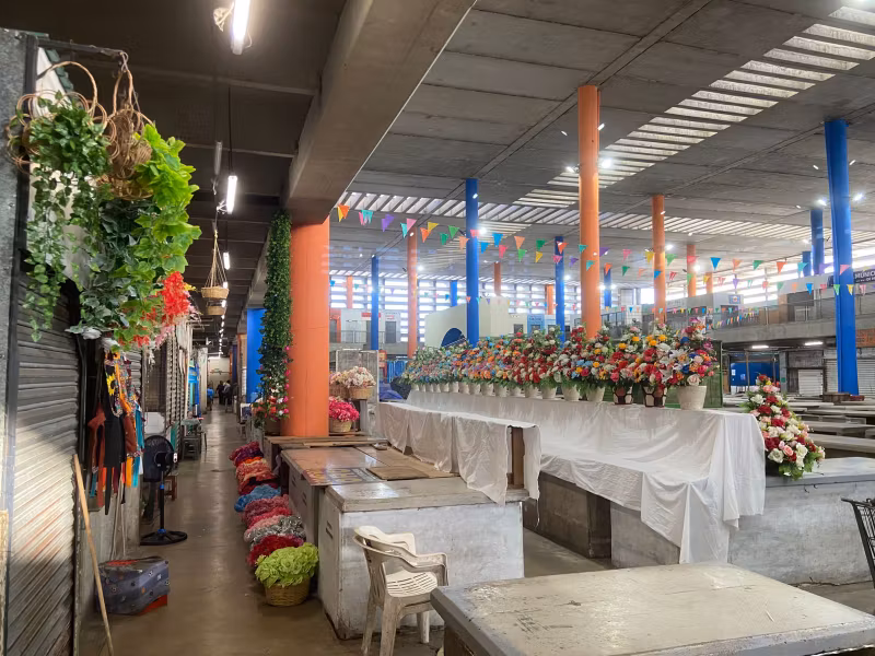 Merida Private Tour - 