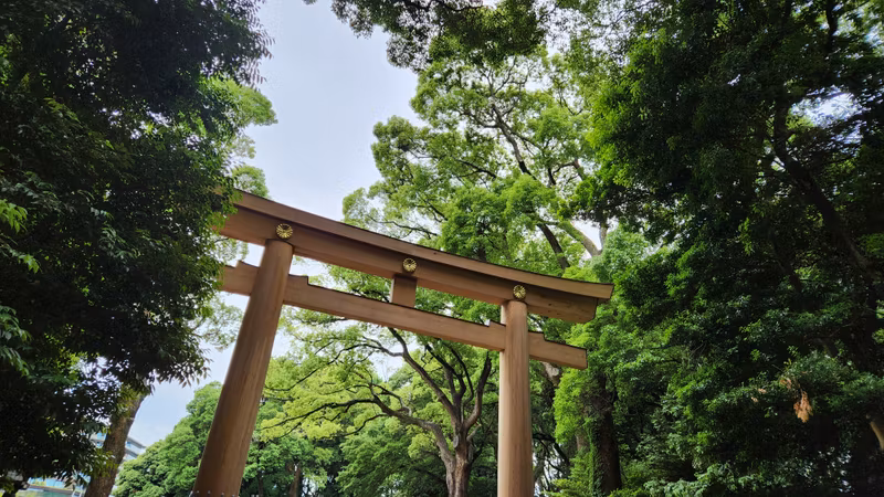 Tokyo Private Tour - 