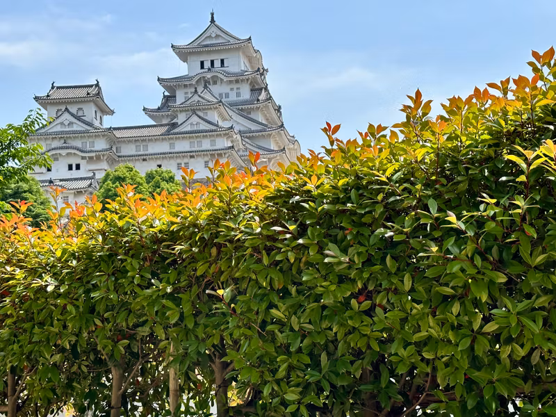 Osaka Private Tour - a view from west bailey(Nishinomaru)