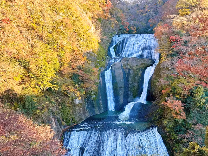 Tokyo Private Tour - 