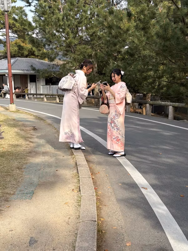 Nara Private Tour - Nara park