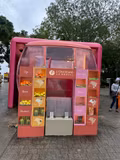 Full day sightseeing tour in Rio de Janeiro - 2