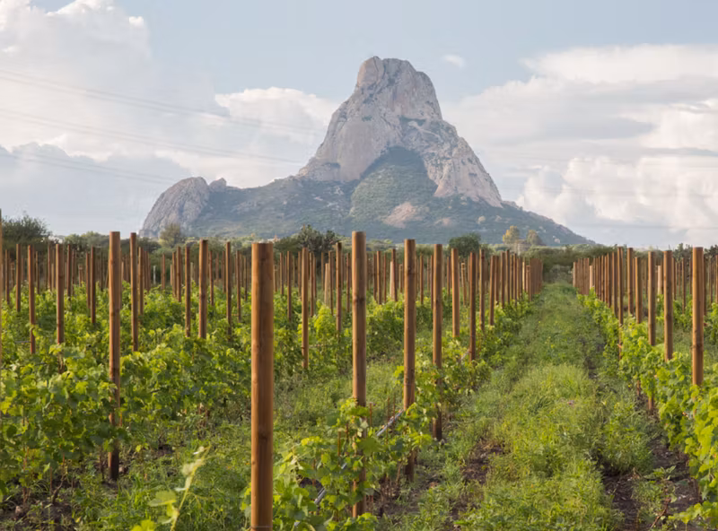 San Miguel de Allende Private Tour - 