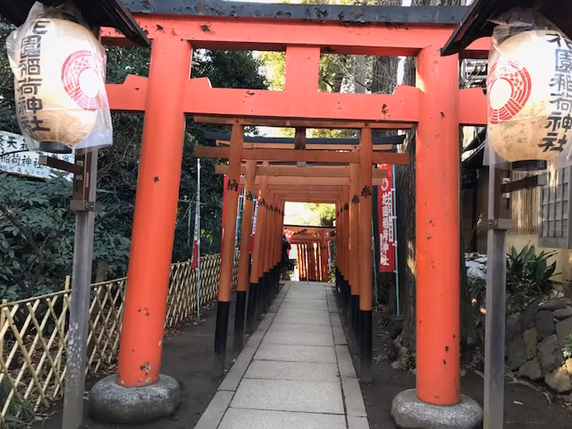 Tokyo Private Tour - Hanazono Inari shrine at Ueno