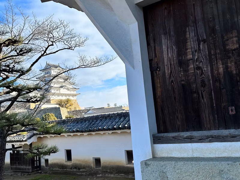 Osaka Private Tour - a special angle view at the Cosmetic Yagura