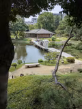 Hiroshima City Tour Highlights (4.5 Hours) - 1