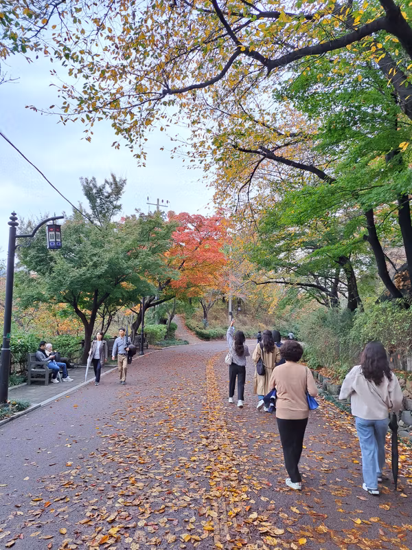 Seoul Private Tour - Namsan Mountain
