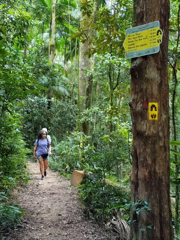 Rio de Janeiro Private Tour - Hiking through the heart of nature