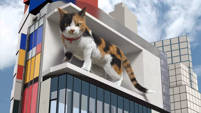 Tokyo Private Tour - 3dCat - Shinjuku