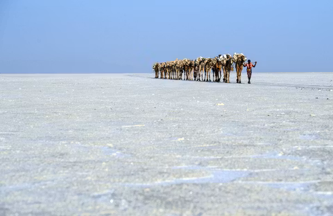3 Days Danakil Depressioncover image