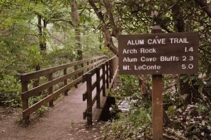 Tennessee Private Tour - Alum Cave Trail