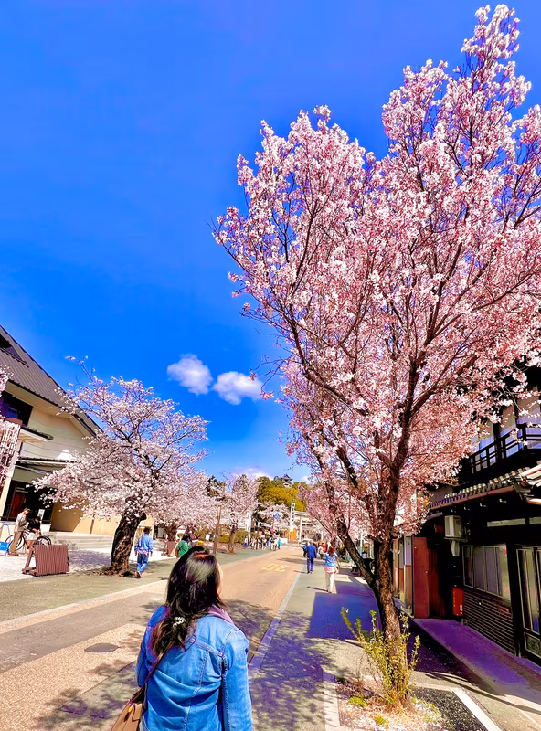 Nagoya Private Tour - 