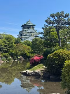Osaka Private Tour - Osaka castle