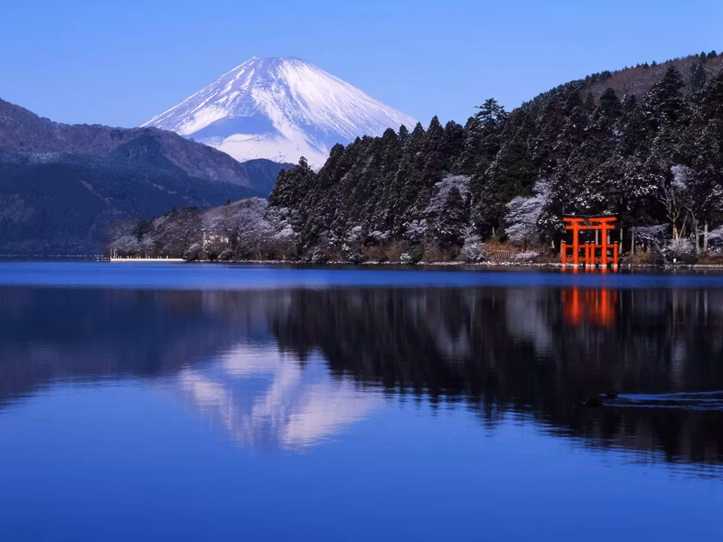 Tokyo Private Tour - 