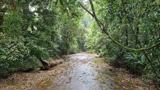 San Jose Private Tour - Beautifull Paths