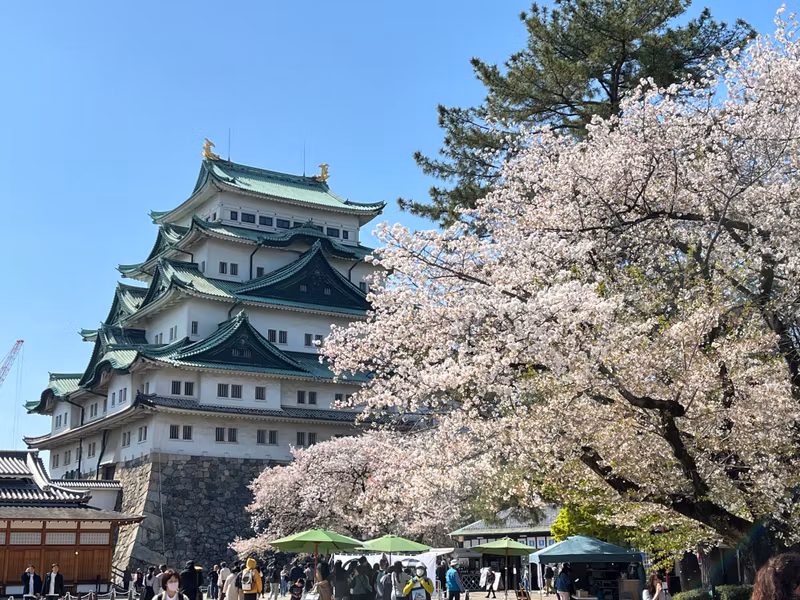 Nagoya Private Tour - Nagoya Castle