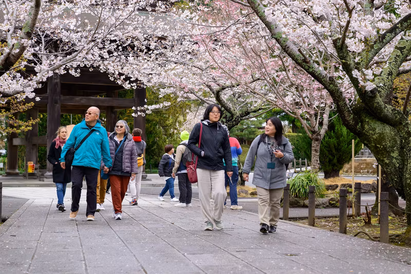 Kamakura Private Tour - Kencho-ji in spring