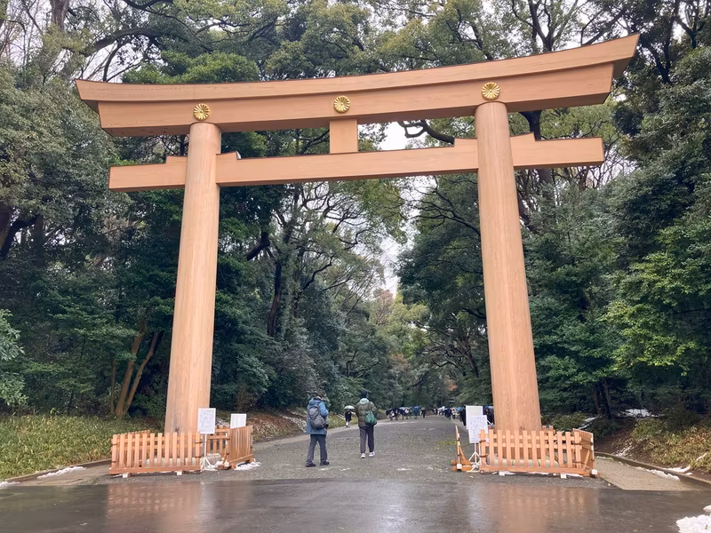 Tokyo Private Tour - Meiji shrine (Torii gate)