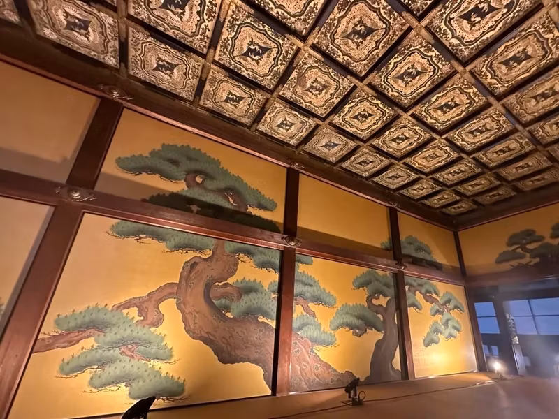 Kyoto Private Tour - Nijo Castle