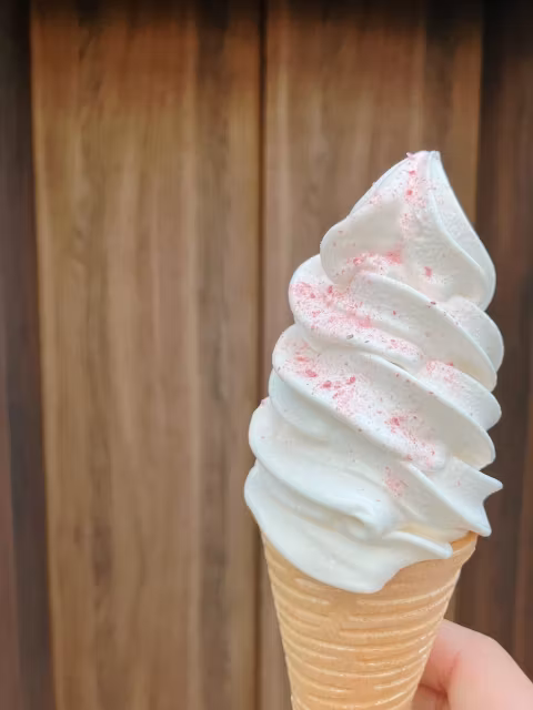 Nagano Private Tour - Try Miso soft-serve at Miso brewery