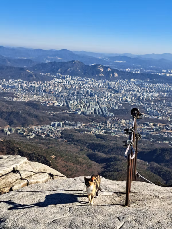 Seoul Private Tour - the view of Seoul