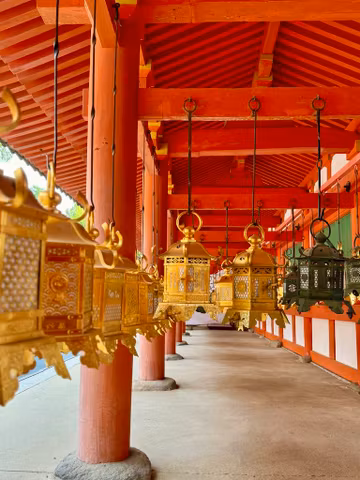 Nara Day Trip : Giant Bhudda, Friendly Deer, Timeless Charm & A Craft to Take Homecover image