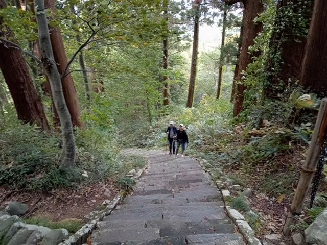 Yamagata Private Tour - Steep Stone Path