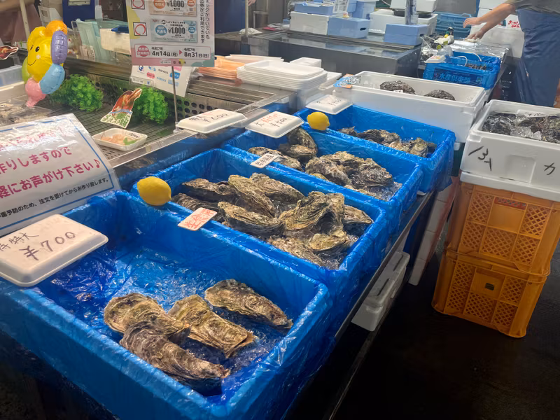 Miyagi Private Tour - Different size of oysters